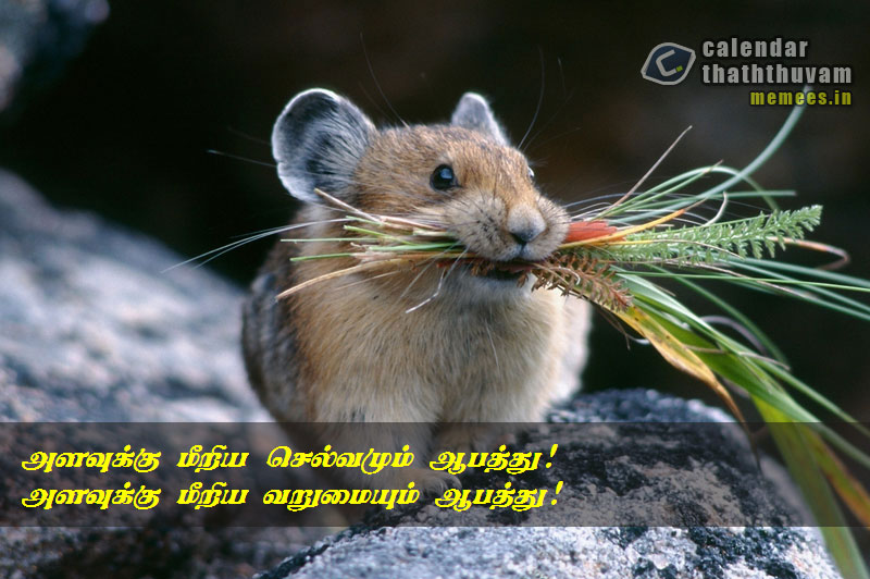 Character Quotes in Tamil