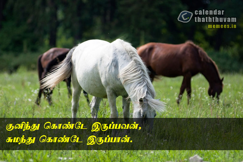 Tamil Thathuvangal குணம்,Character