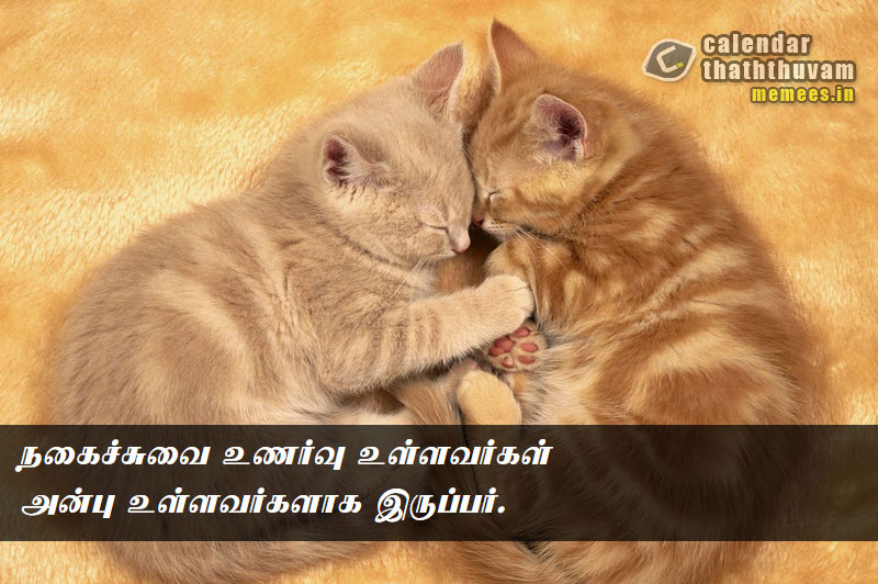 Tamil Thathuvangal குணம்,Character