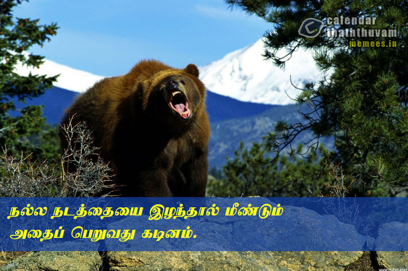 Tamil Thathuvangal குணம்,Character