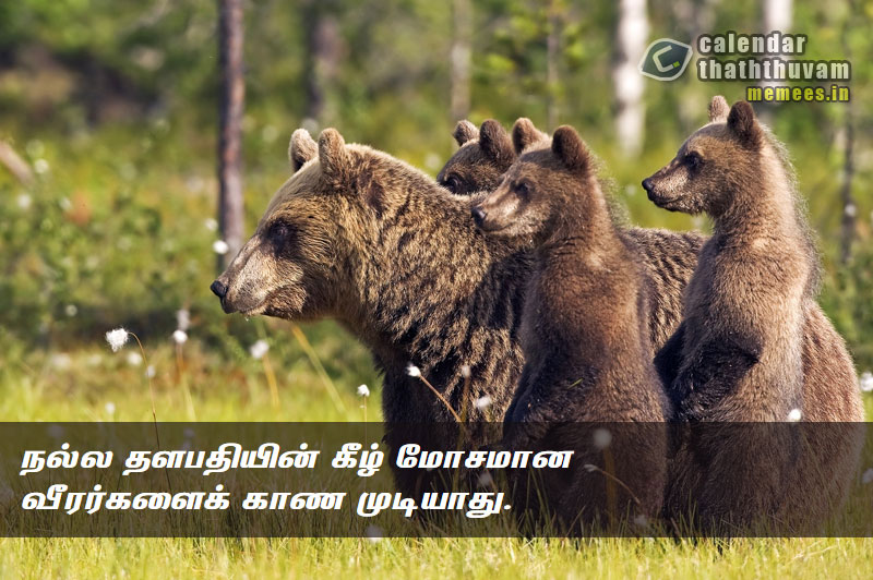 Tamil Thathuvangal குணம்,Character