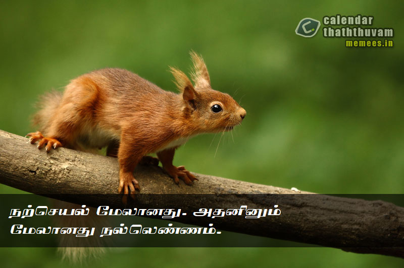 Tamil Thathuvangal குணம்,Character