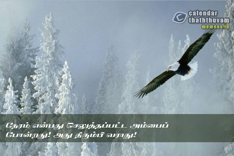 Tamil Thathuvangal குணம்,Character