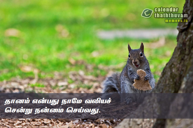 Tamil Thathuvangal குணம்,Character