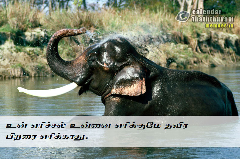Tamil Thathuvangal குணம்,Character
