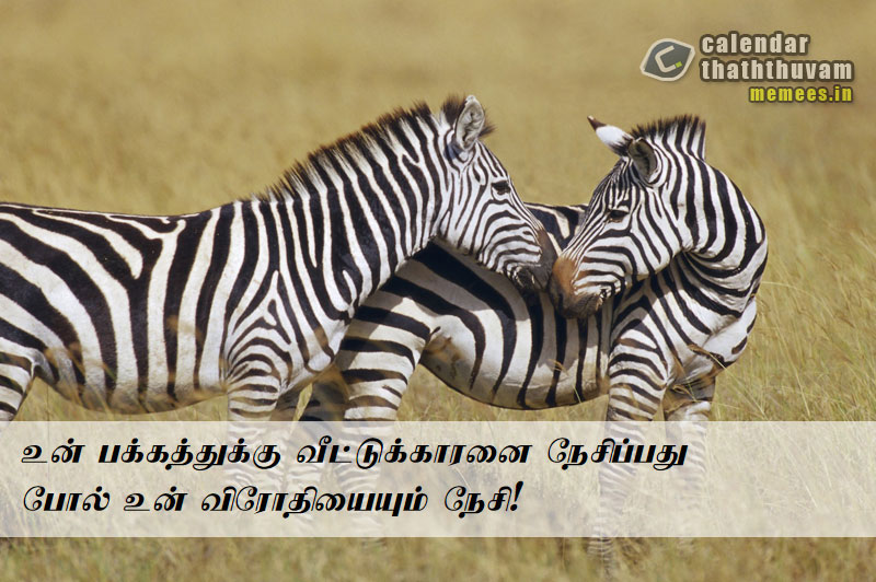 Tamil Thathuvangal குணம்,Character