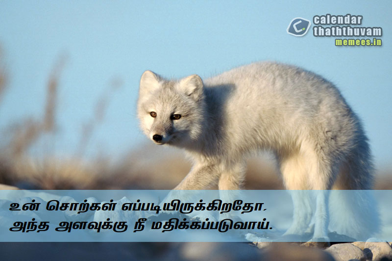 Tamil Thathuvangal குணம்,Character