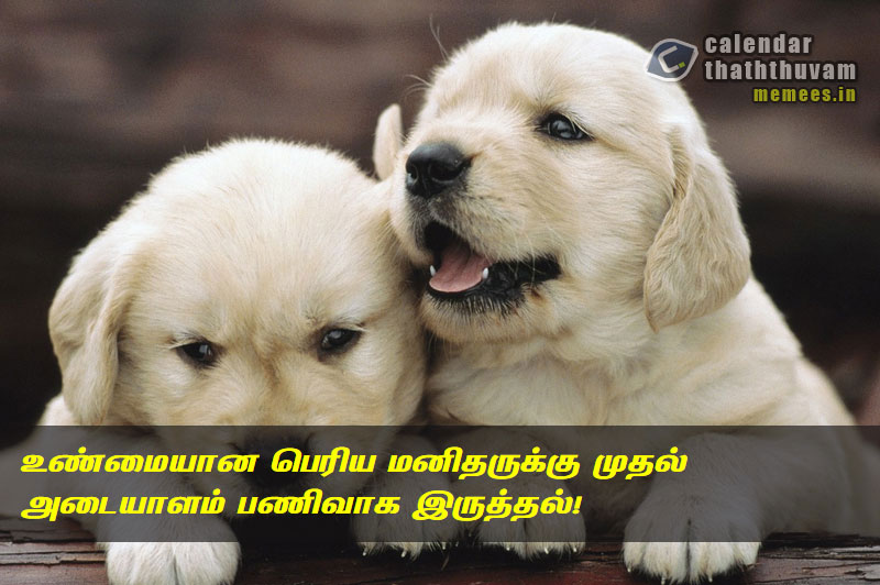 Tamil Thathuvangal குணம்,Character