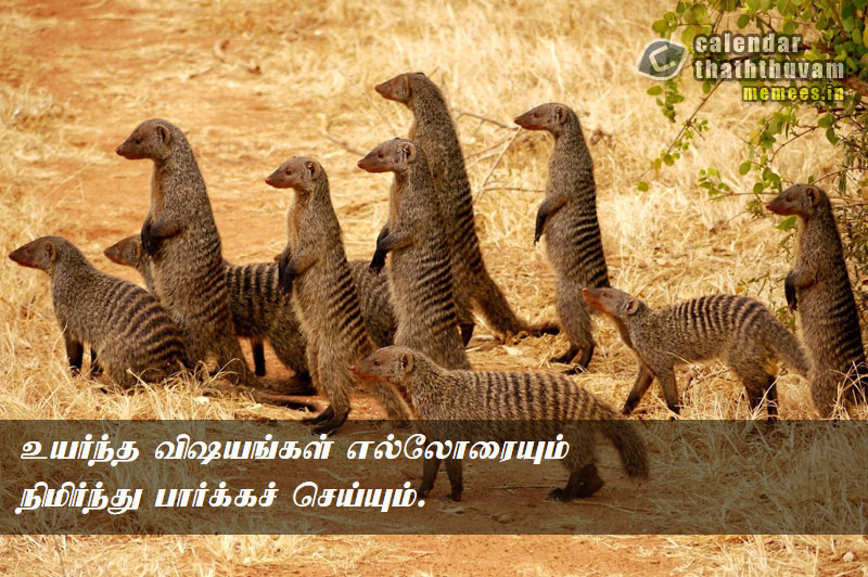 Tamil Thathuvangal குணம்,Character