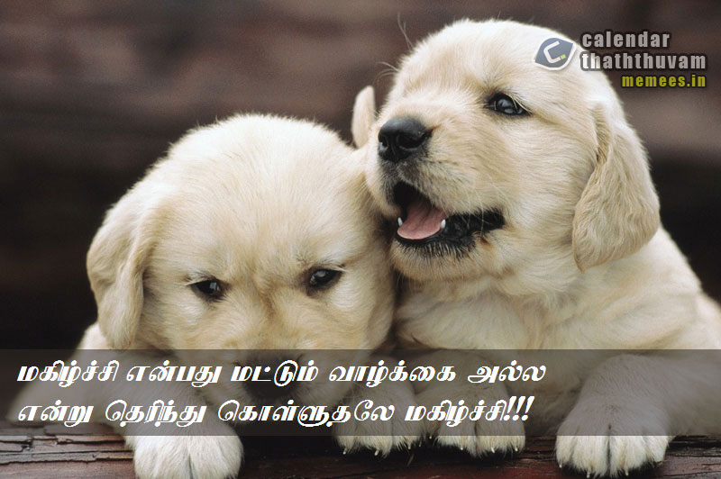 Happy Quotes in Tamil