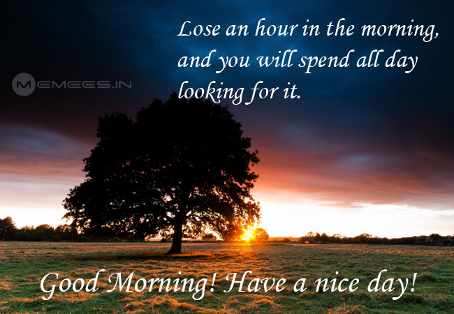 Tamil morning morning Reactions