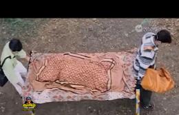 Tamil comedians Vadivelu Reactions