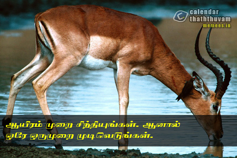 Tamil Thathuvangal குணம்,Character