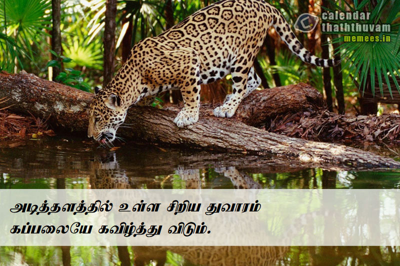 Tamil Thathuvangal குணம்,Character