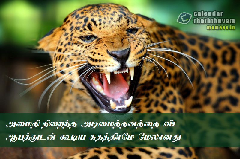 Tamil Thathuvangal குணம்,Character