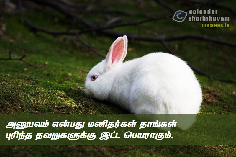 Tamil Thathuvangal குணம்,Character