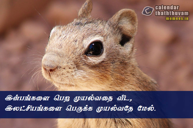 Tamil Thathuvangal குணம்,Character