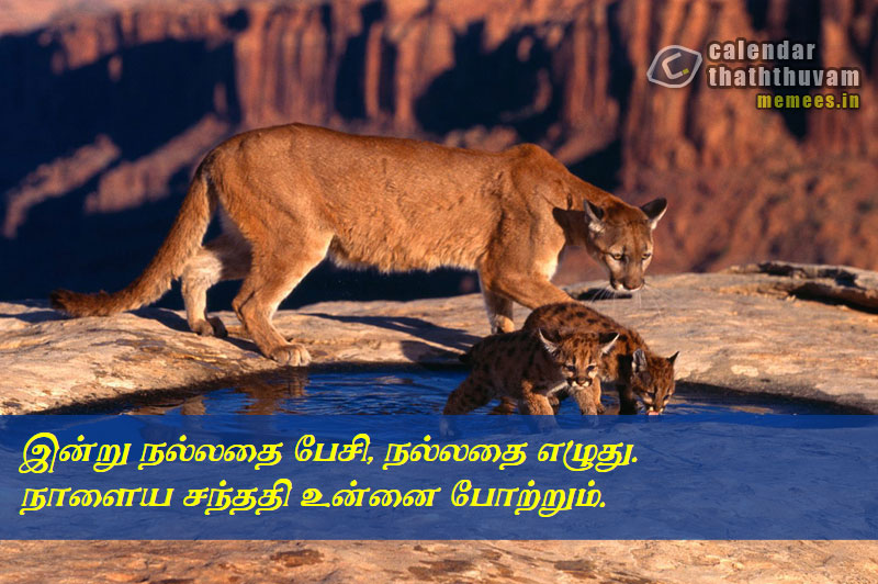 Tamil Thathuvangal குணம்,Character