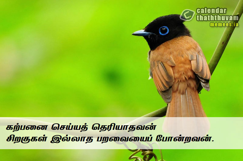 Tamil Thathuvangal குணம்,Character