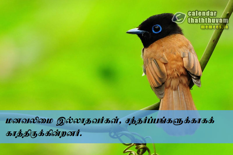 Tamil Thathuvangal குணம்,Character