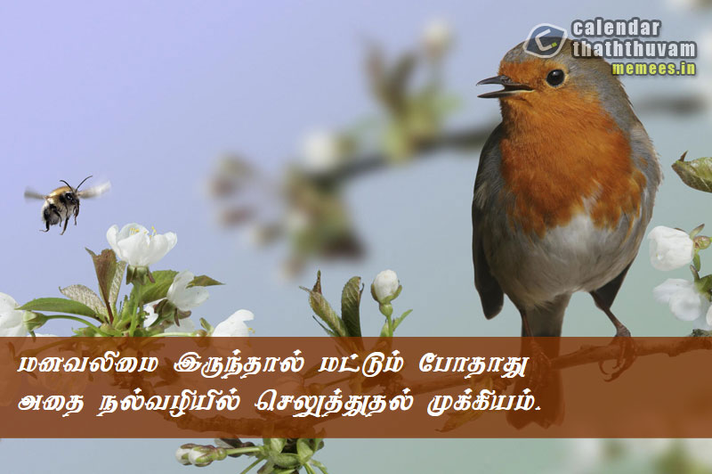 Tamil Thathuvangal குணம்,Character