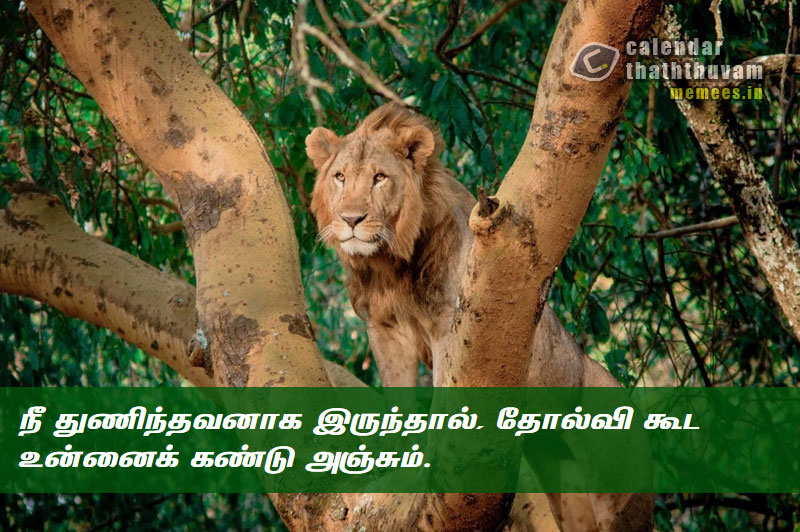 Tamil Thathuvangal குணம்,Character