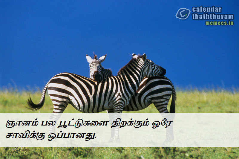 Tamil Thathuvangal குணம்,Character