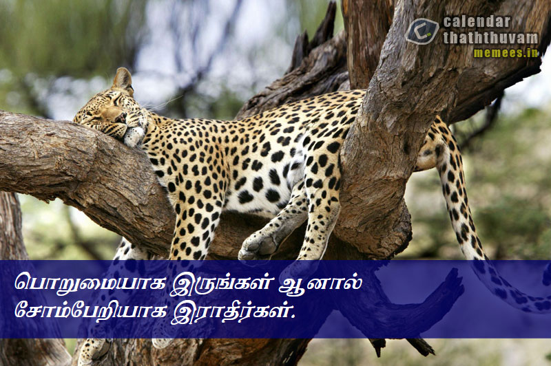 Tamil Thathuvangal குணம்,Character