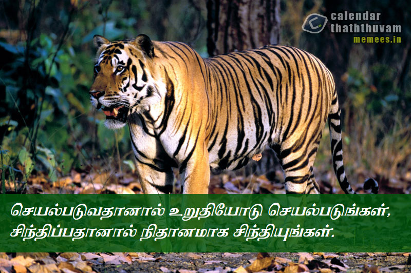 Tamil Thathuvangal குணம்,Character