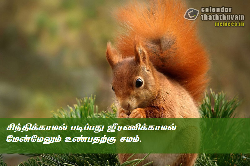 Tamil Thathuvangal குணம்,Character