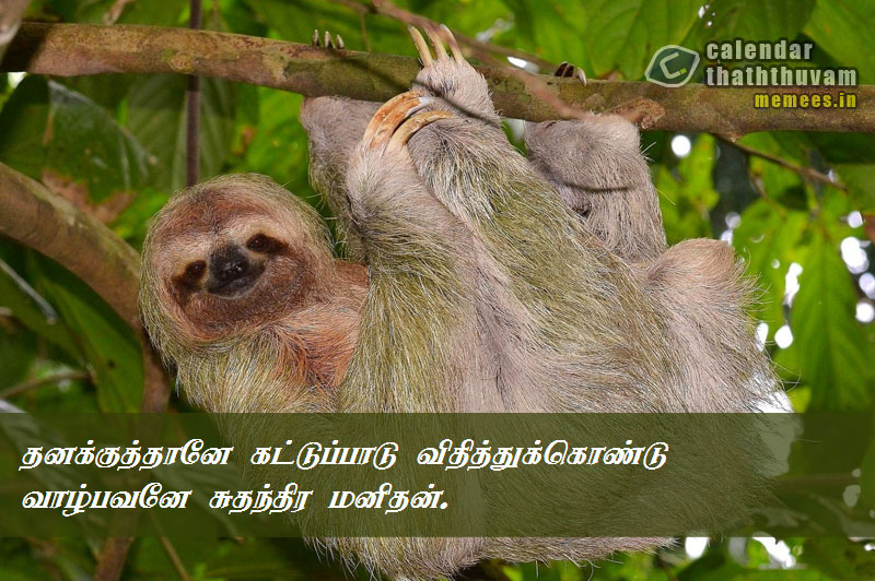 Tamil Thathuvangal குணம்,Character