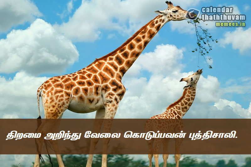 Tamil Thathuvangal குணம்,Character