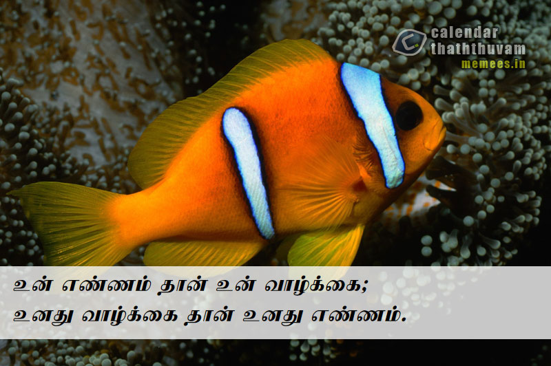 Tamil Thathuvangal குணம்,Character