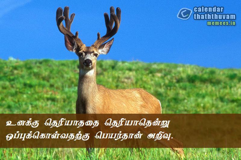 Tamil Thathuvangal குணம்,Character