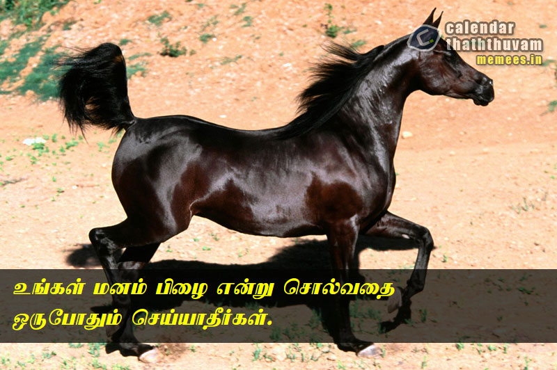 Tamil Thathuvangal குணம்,Character