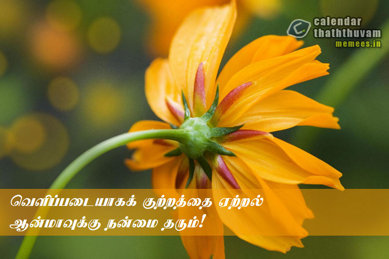 Tamil Thathuvangal குணம்,Character