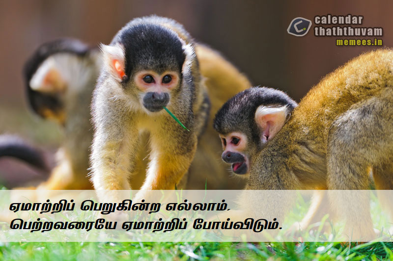 Tamil Thathuvangal குணம்,Character