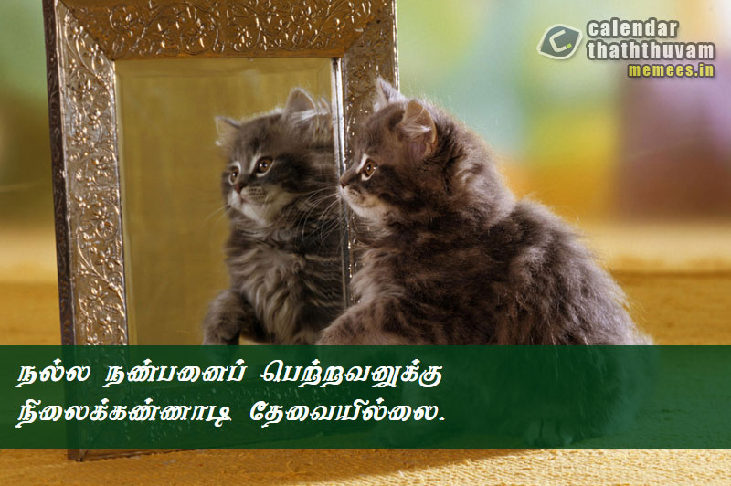 Tamil Philosophy Happy The Philosophy Of Happy In Tamil Happy Philosophy Quotes In Tamil Happy Quotes In Tamil Calander Philosophy In Tamil Calander Thaththuvangkal கலண டர தத த வங கள