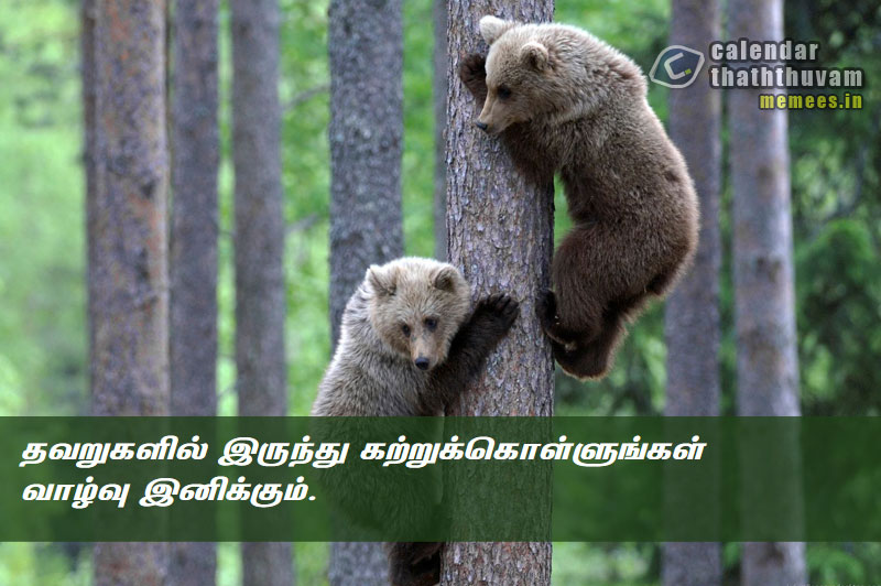 Tamil Philosophy Mistake The Philosophy Of Mistake In Tamil Mistake Philosophy Quotes In Tamil Mistake Quotes In Tamil Calander Philosophy In Tamil Calander Thaththuvangkal à®•à®²à®£ à®Ÿà®° à®¤à®¤ à®¤ à®µà®™ à®•à®³