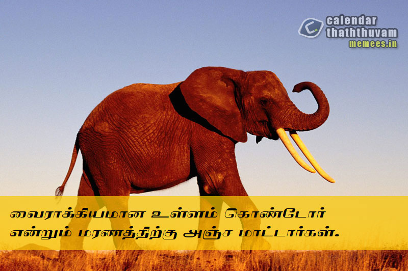 Tamil Thathuvangal மகிழ்ச்சி,Happy