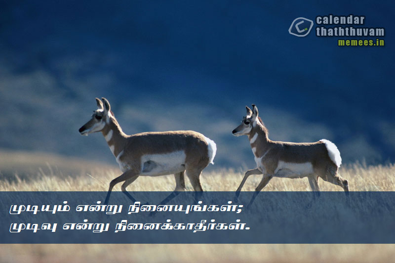 Tamil Thathuvangal நம்பிக்கை,Hope