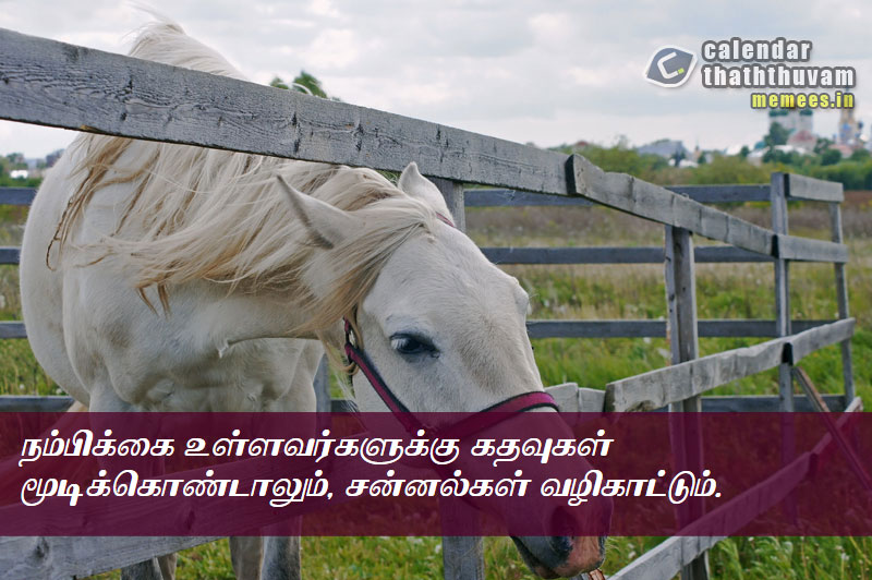 Tamil Thathuvangal நம்பிக்கை,Hope