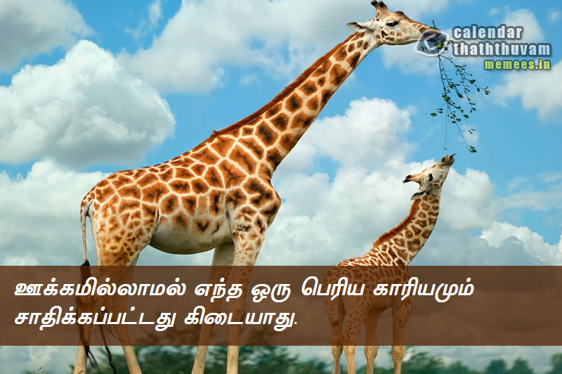 Tamil Thathuvangal நம்பிக்கை,Hope