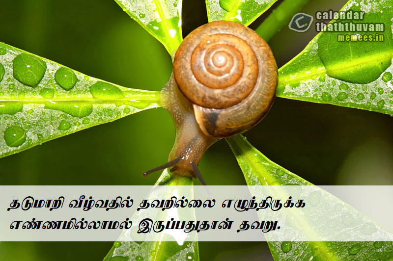 Tamil Thathuvangal நம்பிக்கை,Hope