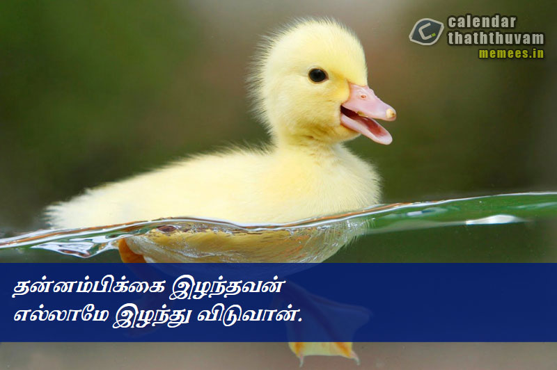 Tamil Thathuvangal நம்பிக்கை,Hope