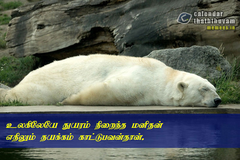 Tamil Thathuvangal சோகம்,Sad