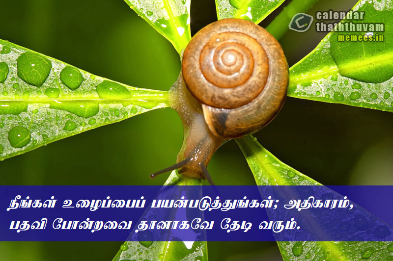 Tamil Thathuvangal உழைப்பு,Work