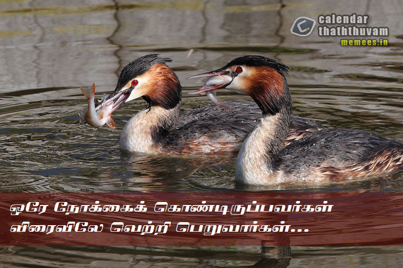 Tamil Thathuvangal உழைப்பு,Work