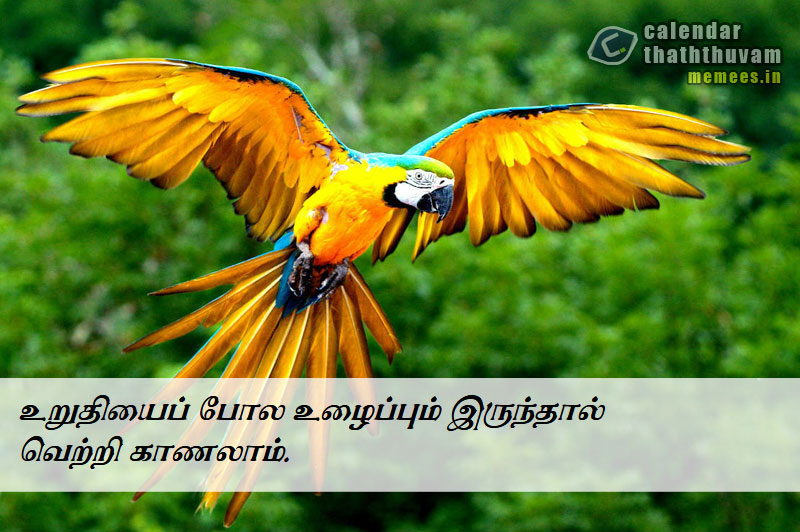 Tamil Thathuvangal உழைப்பு,Work