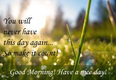 Tamil morning morning Reactions